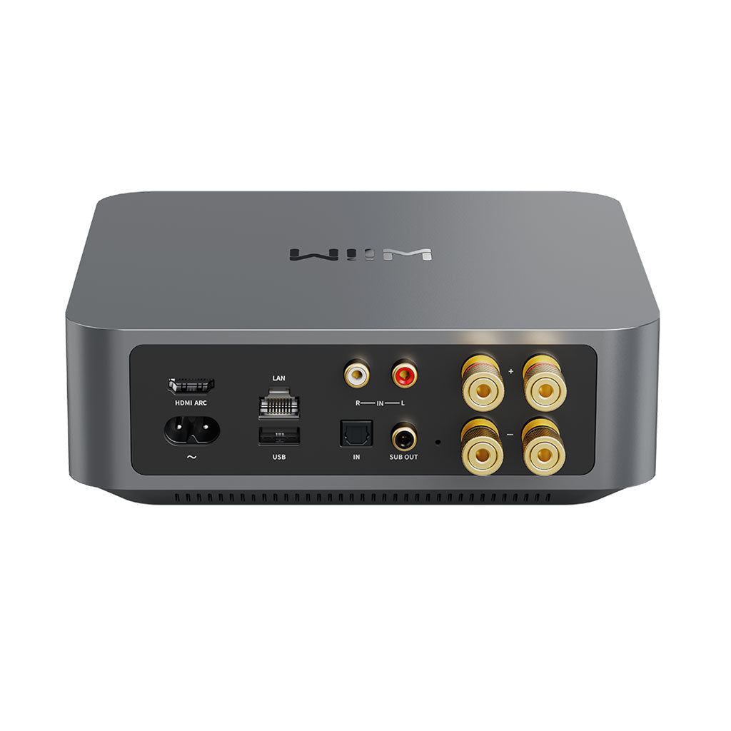 Wiim Amp - Streaming Amplifier